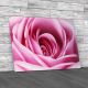 Soft Rose Petals Floral Canvas Print Large Picture Wall Art