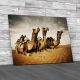 Camels In The Thar Desert Canvas Print Large Picture Wall Art