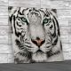 Beautiful Tiger Face Square Canvas Print Large Picture Wall Art