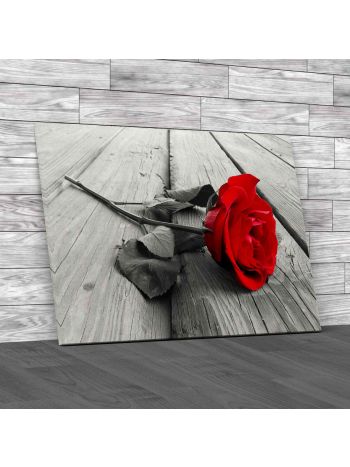 Single Rose On Wood Canvas Print Large Picture Wall Art