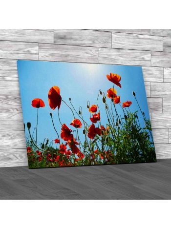 Poppy Field Flowers Canvas Print Large Picture Wall Art