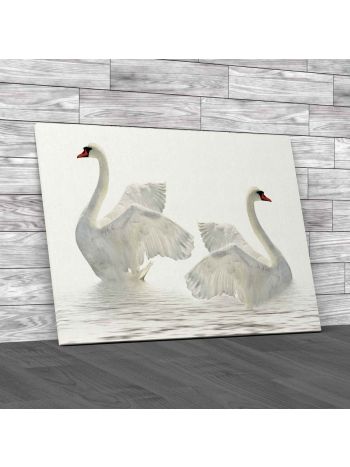 Swimming Swans on Water Canvas Print Large Picture Wall Art