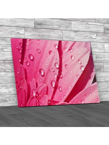 Floral Flower Leaves Canvas Print Large Picture Wall Art