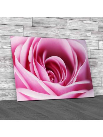 Soft Rose Petals Floral Canvas Print Large Picture Wall Art