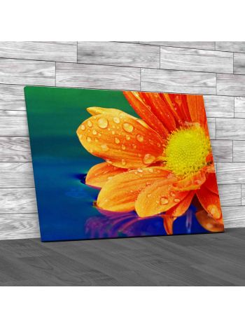 Flower on Water Floral Canvas Print Large Picture Wall Art
