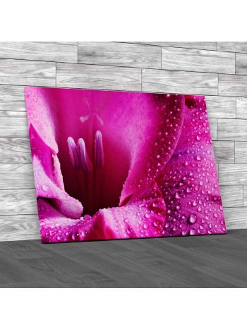 Gladiola Flower Petals Canvas Print Large Picture Wall Art