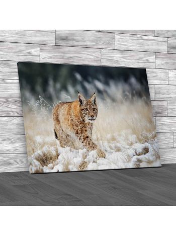 Lynx Cub Walking On Snow Canvas Print Large Picture Wall Art