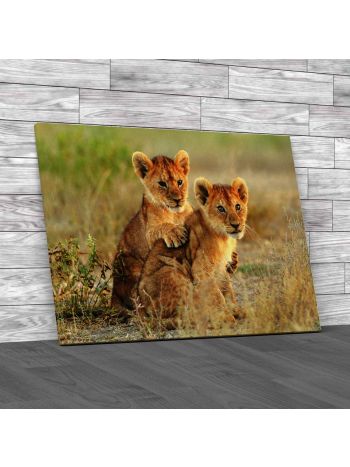 Lion Cubs Cuddling Canvas Print Large Picture Wall Art