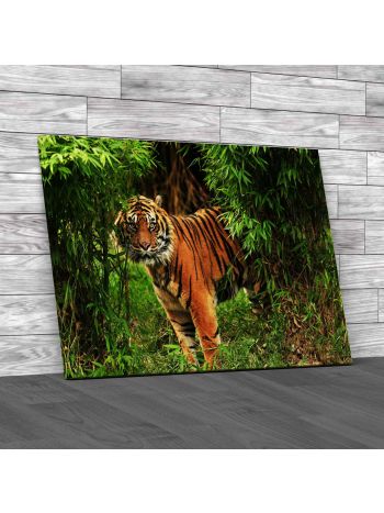 Royal Bengal Tiger Canvas Print Large Picture Wall Art