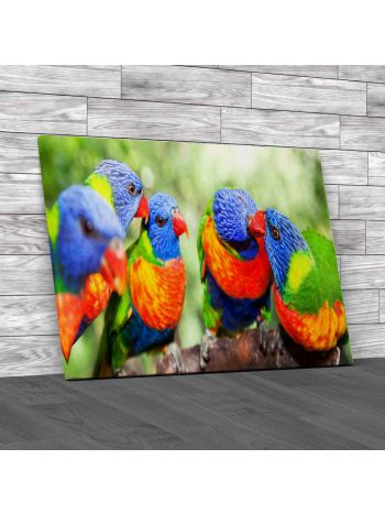 Australian Rainbow Lorikeets Canvas Print Large Picture Wall Art