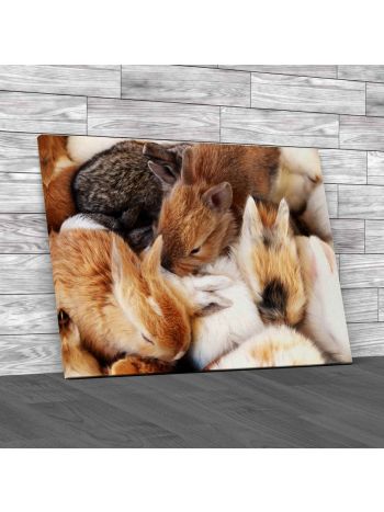 Cute Rabbits Canvas Print Large Picture Wall Art