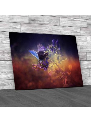 Vintage Butterfly Canvas Print Large Picture Wall Art