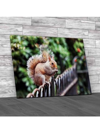 Squirrel In St James Park London Canvas Print Large Picture Wall Art