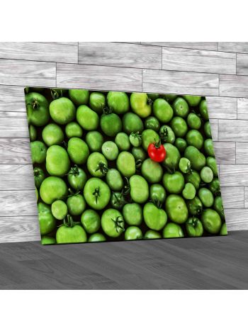 Green Tomatoes Canvas Print Large Picture Wall Art