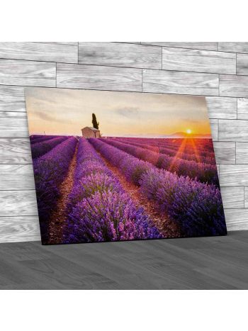 Lavender Field In Provence France Canvas Print Large Picture Wall Art