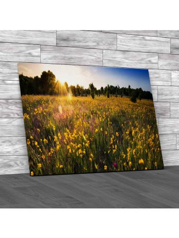 Sun Drenched Sunflowers At Dusk Canvas Print Large Picture Wall Art