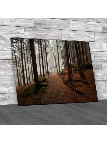 Appalachian Trail North Carolina Canvas Print Large Picture Wall Art