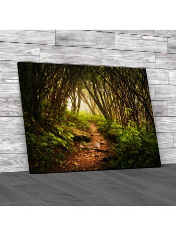 Craggy Gardens North Carolina Canvas Print Large Picture Wall Art
