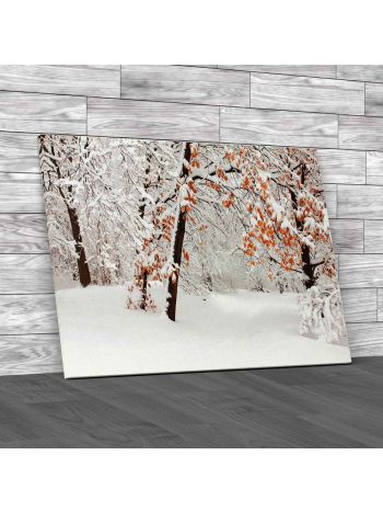 Winter Forest Canvas Print Large Picture Wall Art