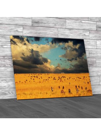 Serengeti National Park Kenya Canvas Print Large Picture Wall Art