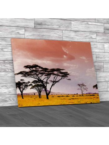 Serengeti Savannah Canvas Print Large Picture Wall Art