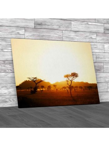 Sunrise On The Savannah Canvas Print Large Picture Wall Art