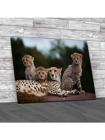 Cheetah And Her Cubs Canvas Print Large Picture Wall Art