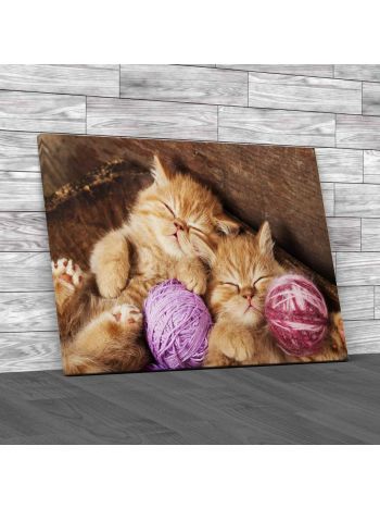 Kittens Sleeping With A Ball Of Wool Canvas Print Large Picture Wall Art