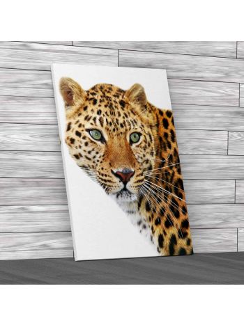 Close Staring Leopard Canvas Print Large Picture Wall Art