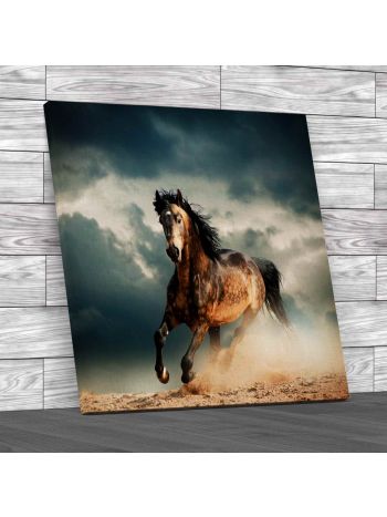 Wild Stallion In Dust Square Canvas Print Large Picture Wall Art